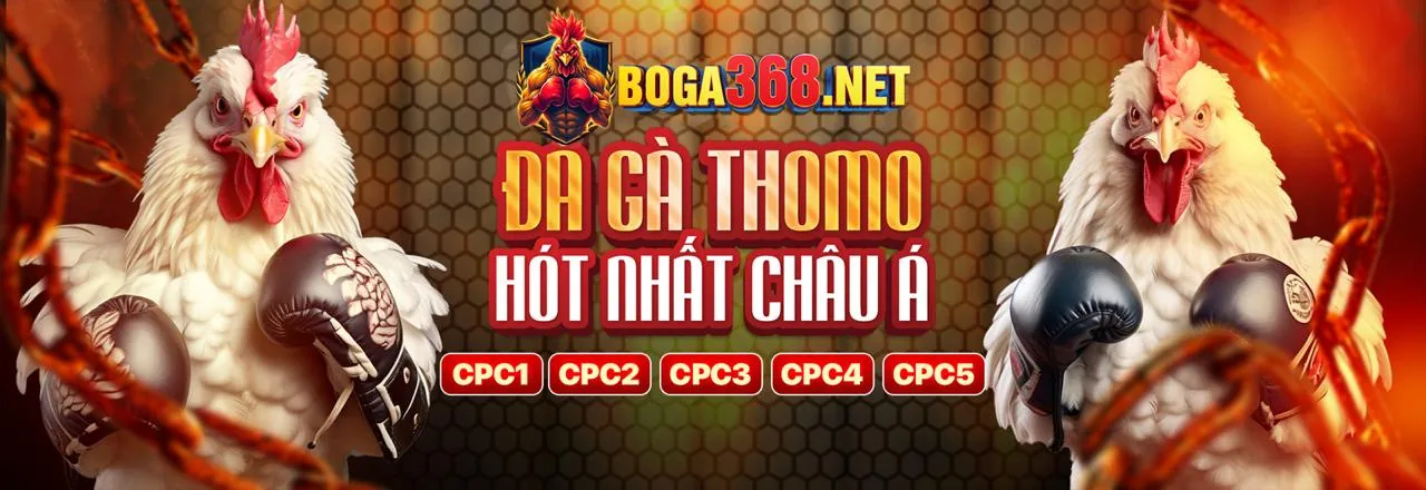 Hình ảnh giới thiệu 8xx Casino, thể hiện sự chuyên nghiệp và an toàn trong cá cược trực tuyến