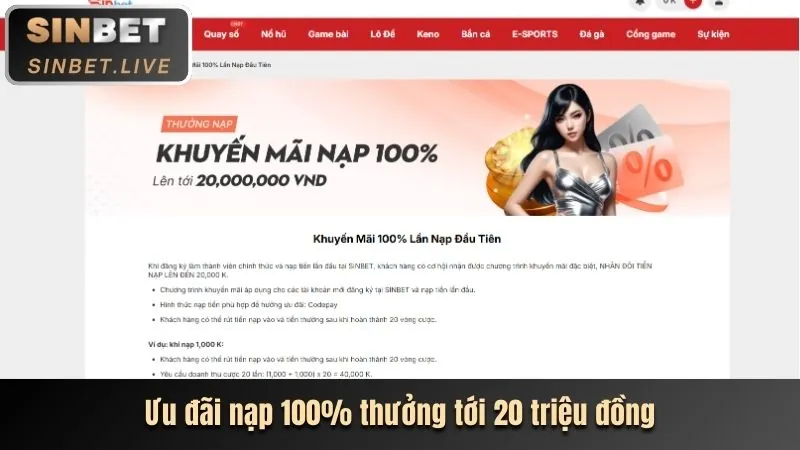 Quyền của người dùng tại 8xx Casino